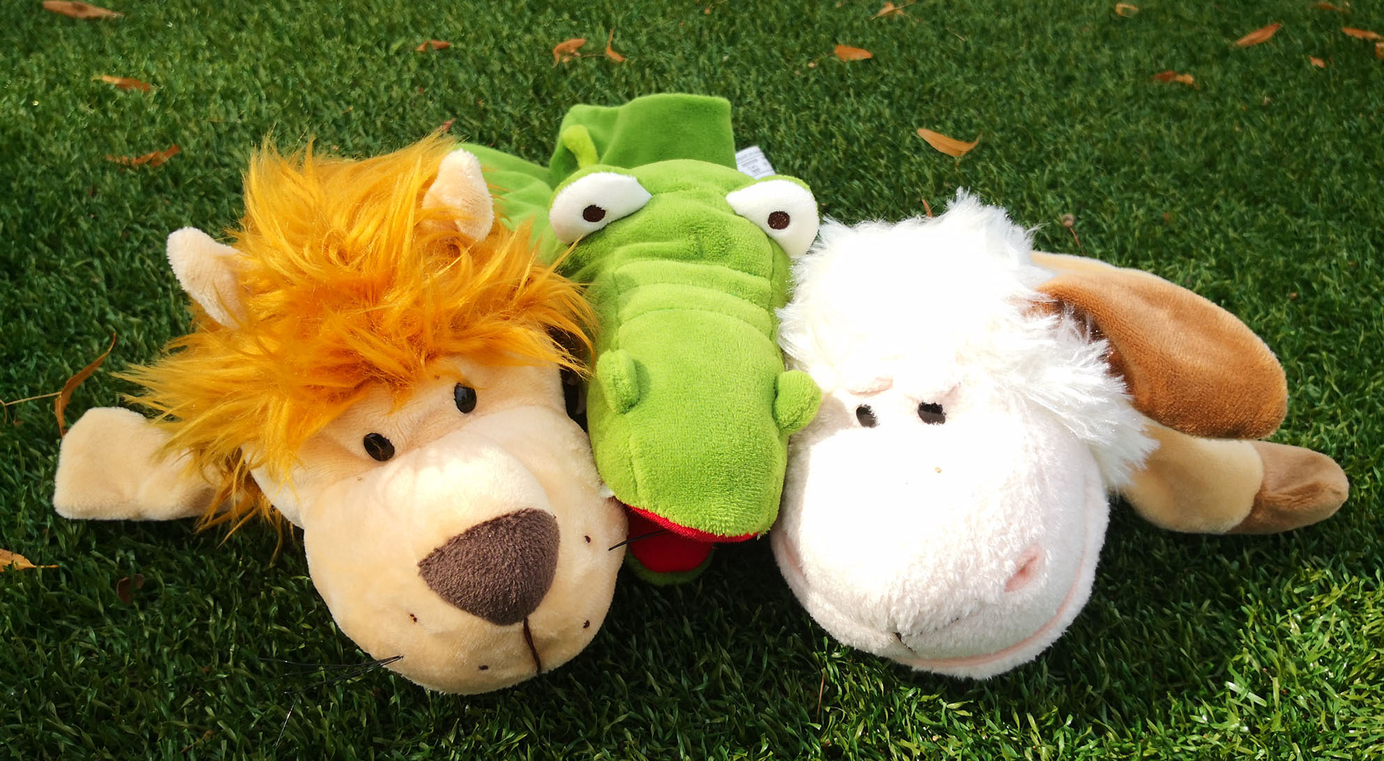 Meine Co-Trainer Tiere